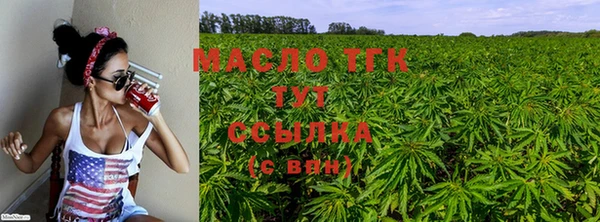 прущие грибы Киренск