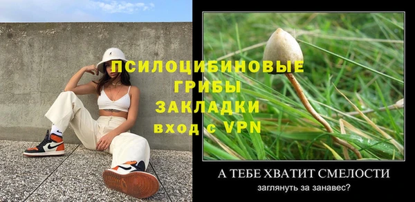 прущие грибы Киренск