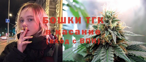 прущие грибы Киренск