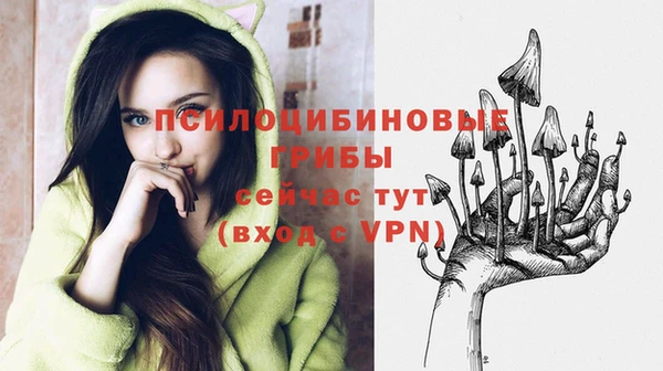 трава Киреевск