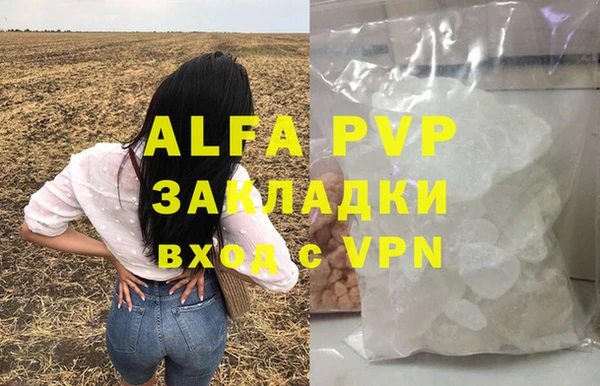 прущие грибы Киренск