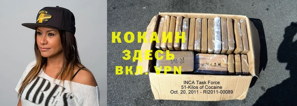 прущие грибы Киренск
