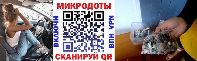 Псилоцибиновые грибы MAGIC MUSHROOMS  Купить  Староминская 